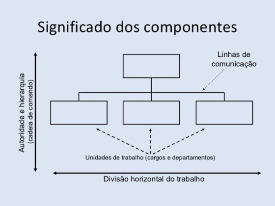 significado componentes organograma.